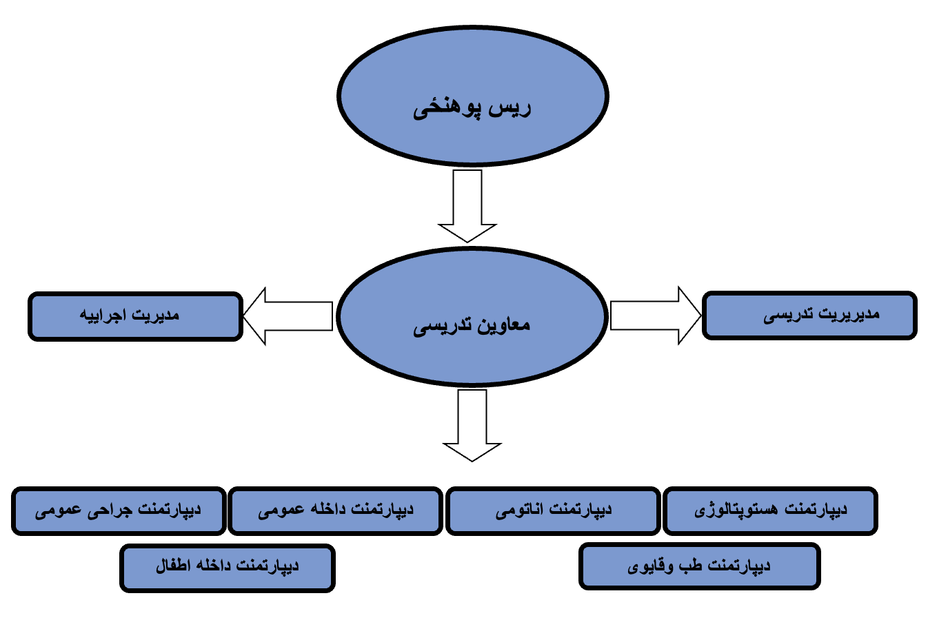 چارت تشکیلاتی