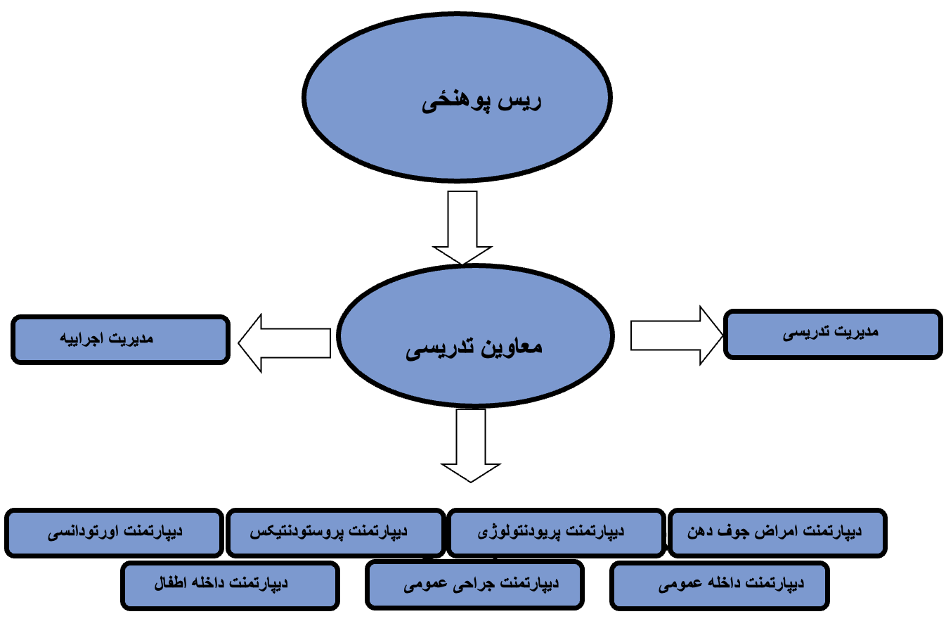 چارت تشکیلاتی
